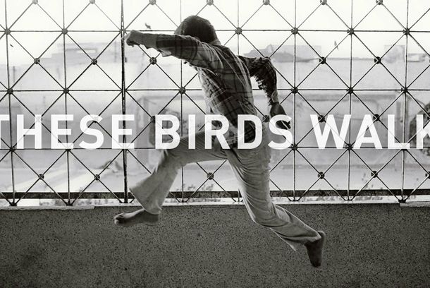 still / picture for These Birds Walk