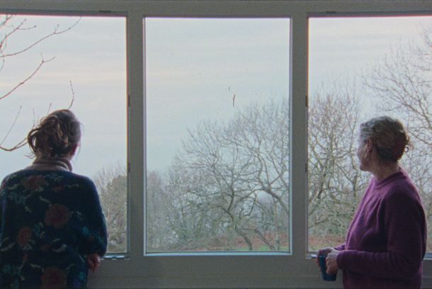 still / picture for Bariazioak