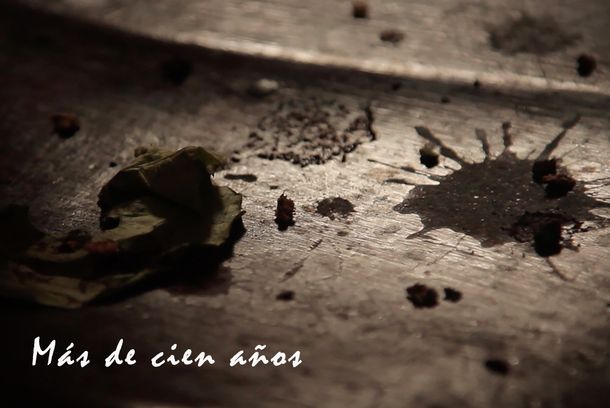 still / picture for Más de cien años