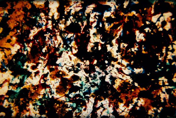 still / picture for Color Negative