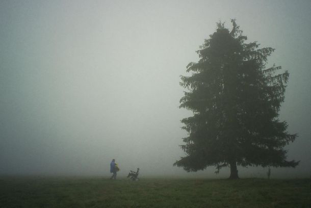 still / picture for Lovers