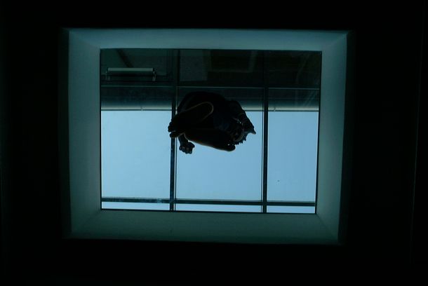 still / picture for glass perpx