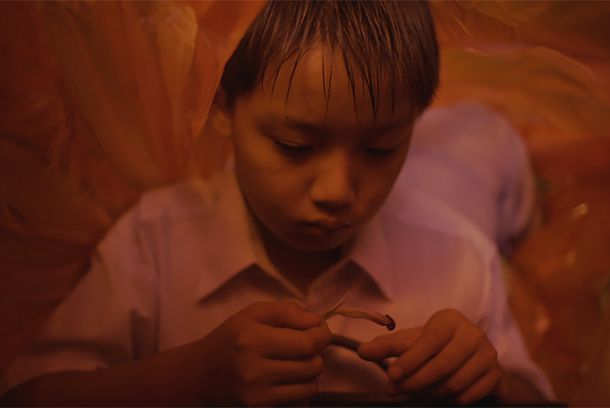 still / picture for 夜廠 / Fleur de Pavot