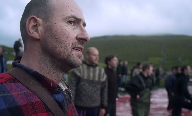 still / picture for The Islands and the Whales