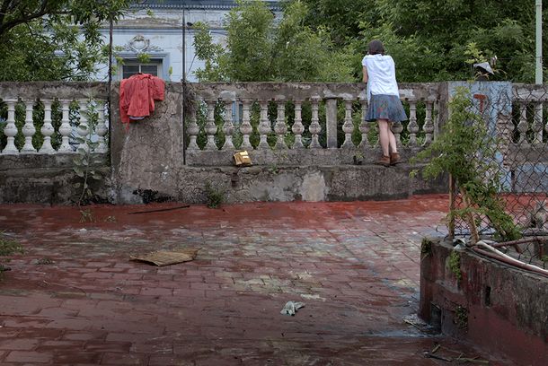 still / picture for Los Patos Salvajes