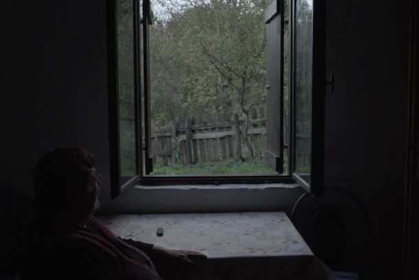 still / picture for The Land