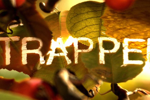 still / picture for TRAPPED