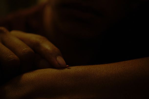 still / picture for Nuevo Zanto