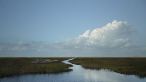 still / picture for River of Grass