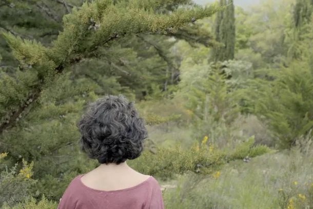 still / picture for Xulia