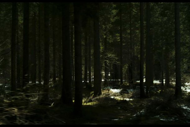 still / picture for Self - La caccia selvaggia