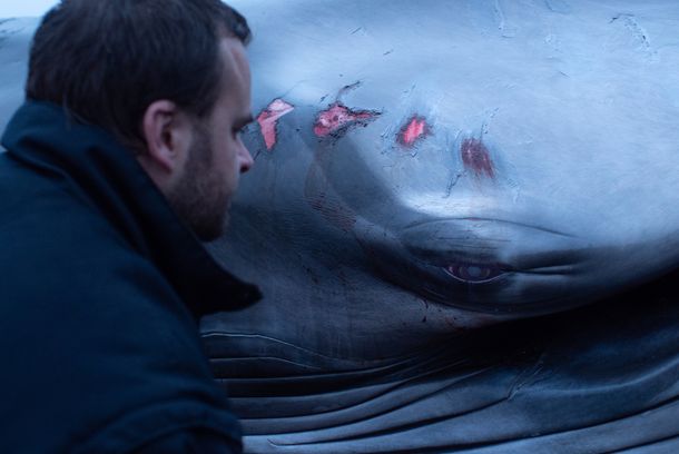 still / picture for FROM THE WILD SEA