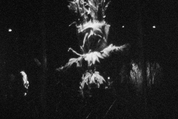 still / picture for Ribe