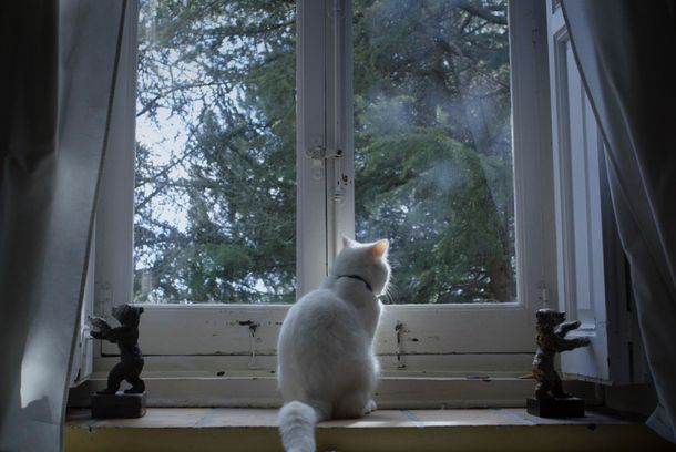 still / picture for Saura(s)