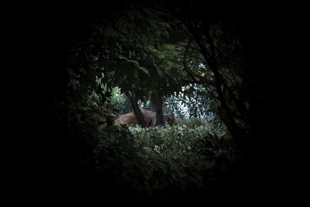 still / picture for Les Hommes de la nuit