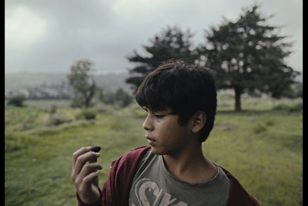 still / picture for Alimento para cerdos