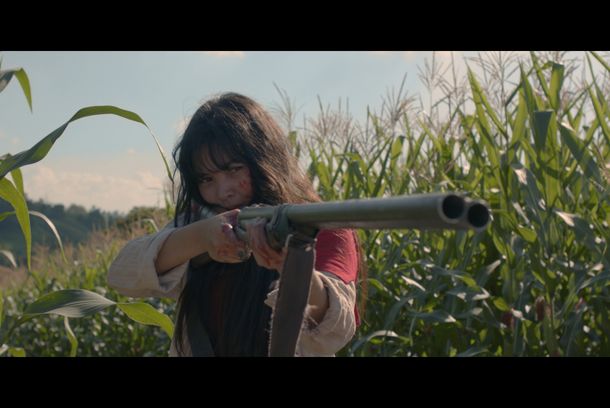 still / picture for Birdshot