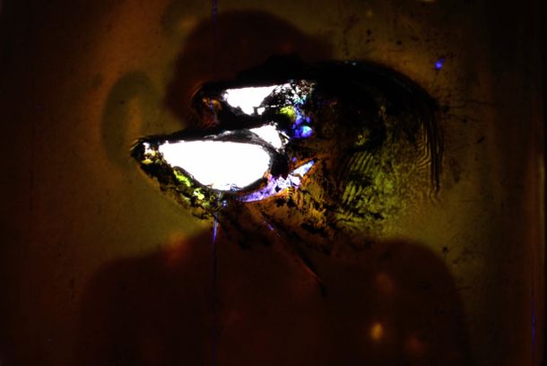 still / picture for Ruins of anticipation