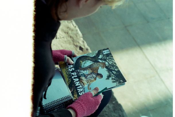 still / picture for Las Plantas