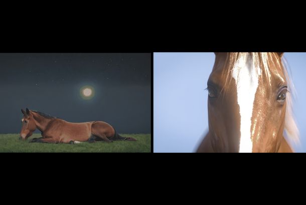 still / picture for Wine, horseshoes, Old Salvador, and my good fellas Phil and Bil