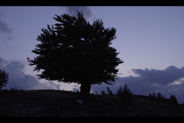 still / picture for Have You Seen That Man