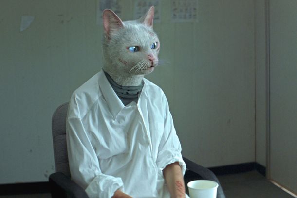 still / picture for Catopia