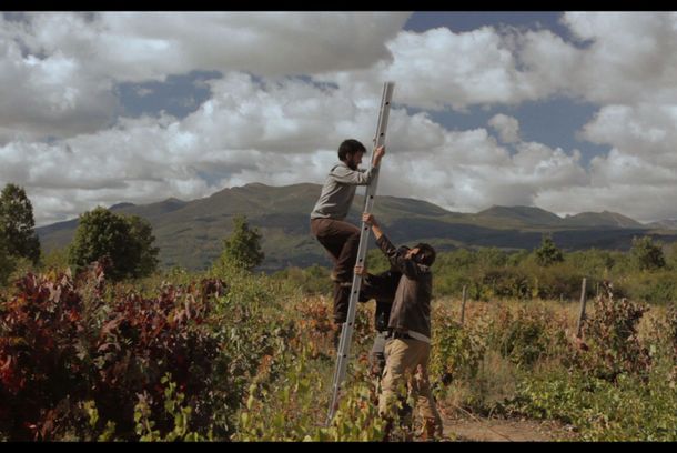 still / picture for the Year and the Vineyard (El Año y la Viña)