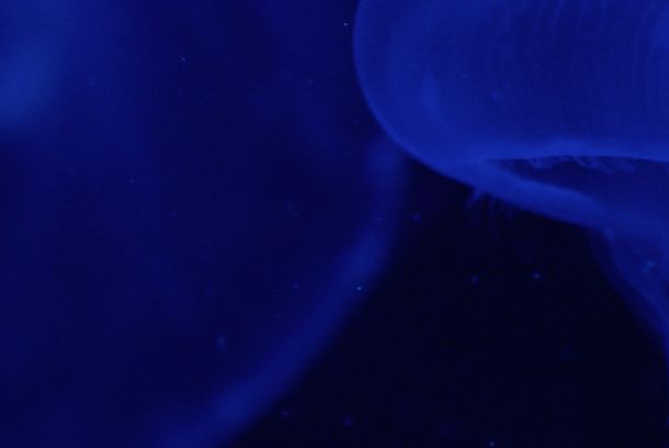 still / picture for Weightless