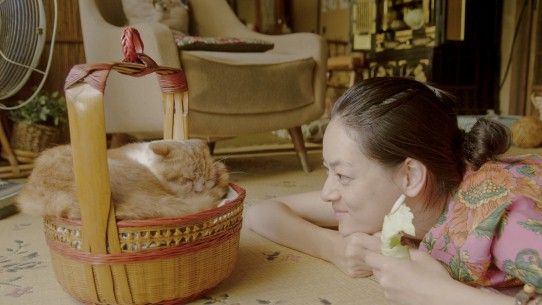 still / picture for Rentaneko (Rent-a-Cat)