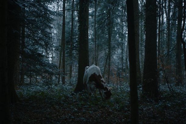 still / picture for Europa