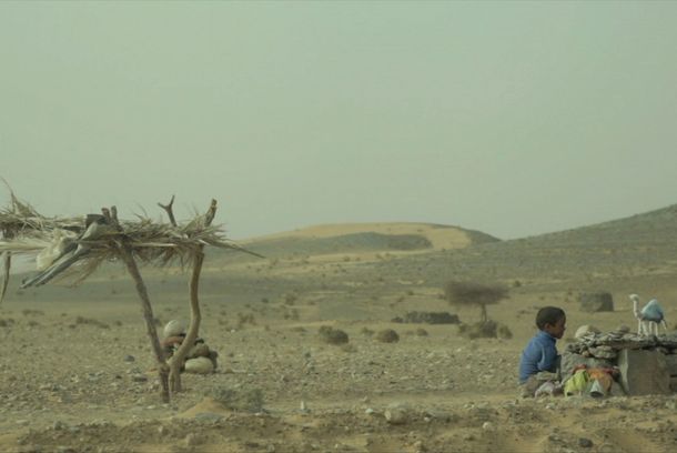 still / picture for Gniazdo