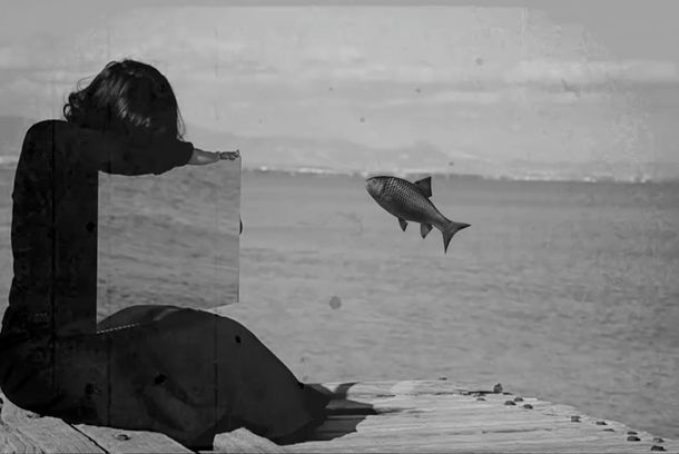 still / picture for Celluloid Me