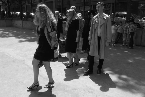 still / picture for HAMSTERS