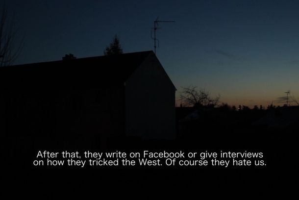 still / picture for Birds