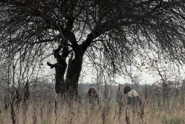 still / picture for Es esmu šeit (Mellow Mud)