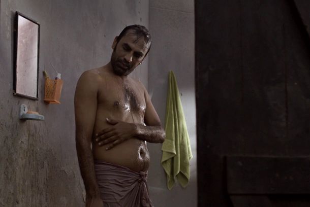 still / picture for Amphibian