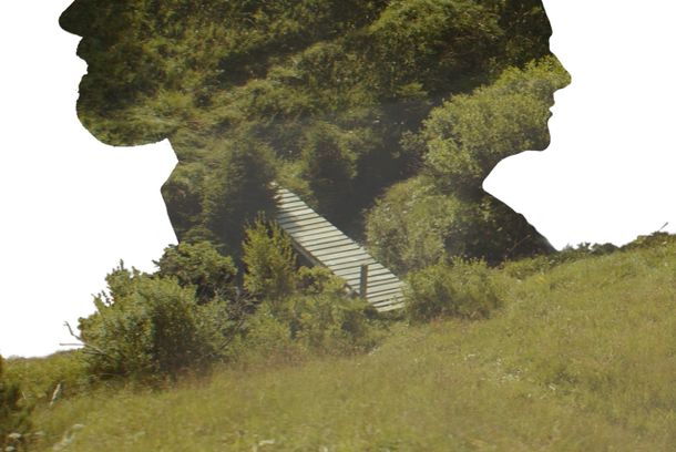 still / picture for Halbgrün