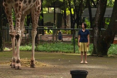 still / picture for KEBUN BINATANG (Postcards from the Zoo)