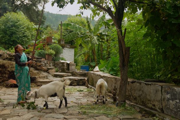 still / picture for Shera