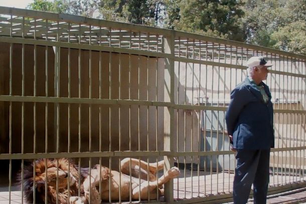 still / picture for WAX & GOLD