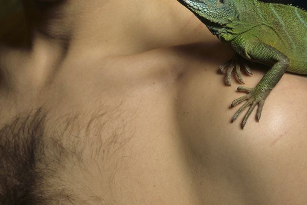 still / picture for Liskokuningas (Lizard King)