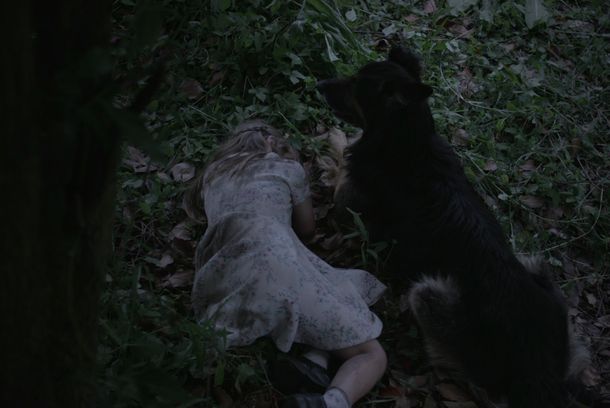 still / picture for Lloren la locura perdida de estos campos