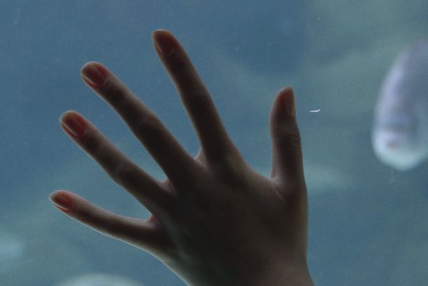 still / picture for E N O M E N A