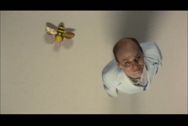 still / picture for Antonio Pode