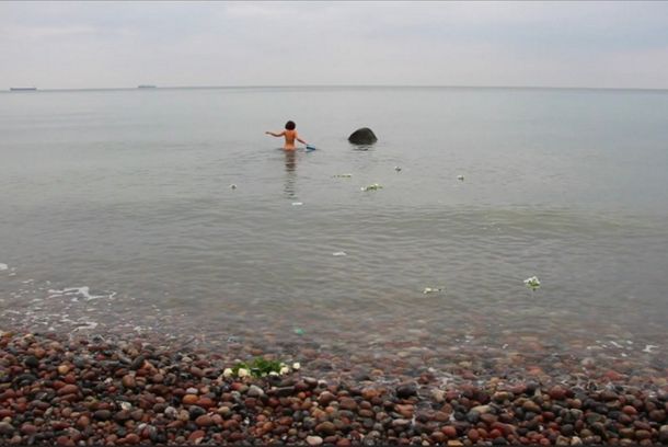 still / picture for Pororoca
