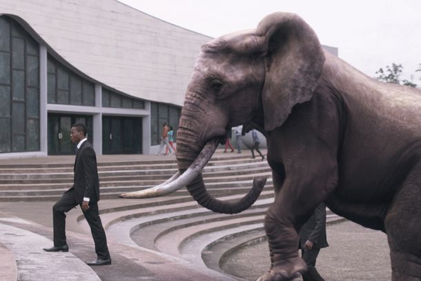 still / picture for RUN