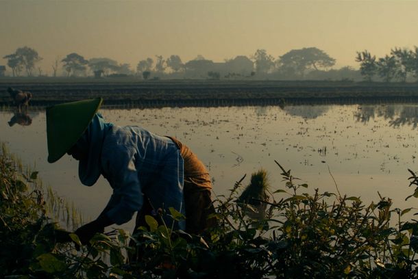 still / picture for About the End