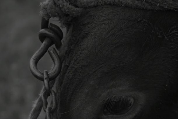 still / picture for Exilio
