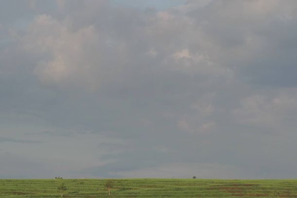 still / picture for The Runner