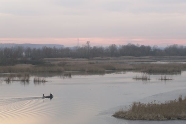 still / picture for Horizonti
